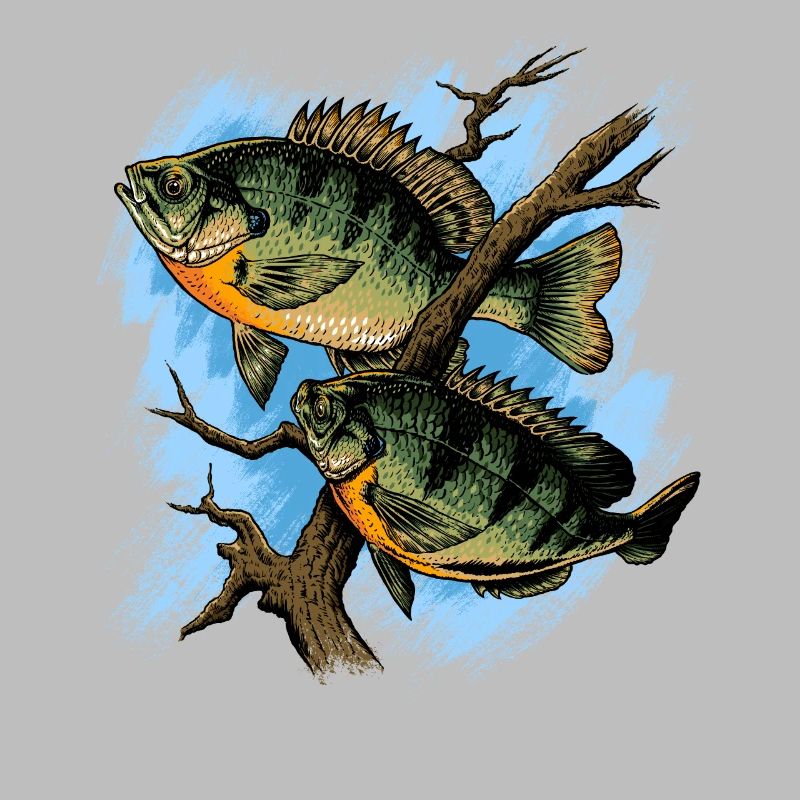 Crapet Arlequin Illustration Pêche Pullover conception