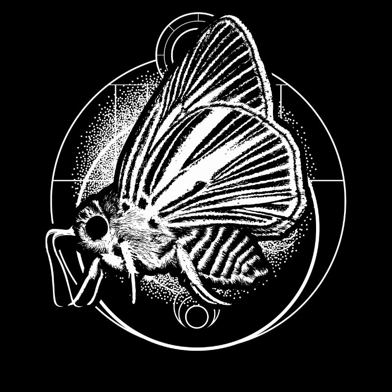 Goth Moth And Crescent Moon Creepy design Gift