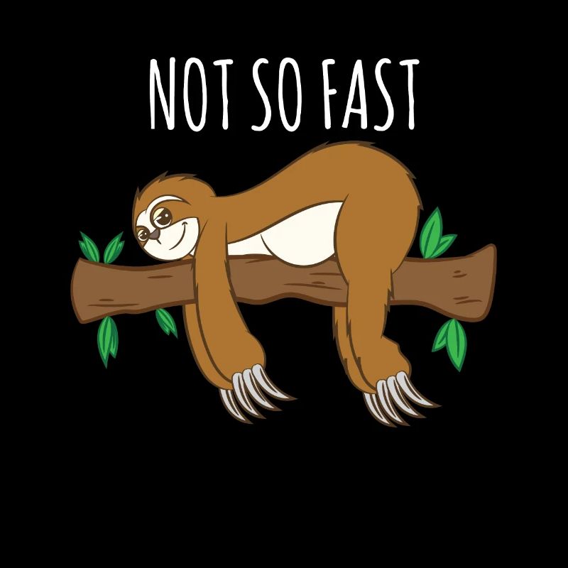 Sloth Gift-Animal Lover-Not So Fast