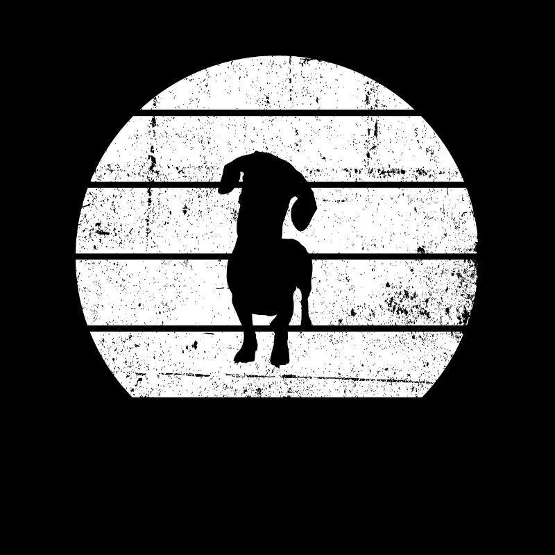Dackel Dachshund Teckel