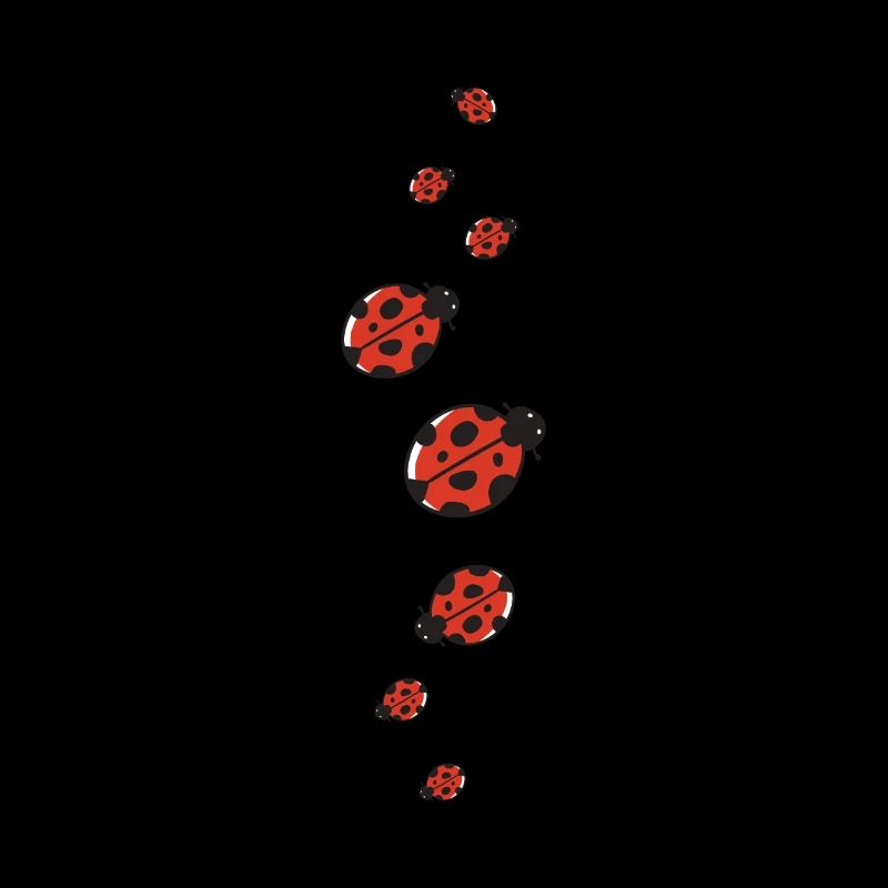 Ladybug costume gift