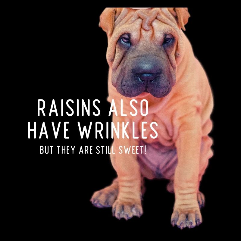 Raisins also have wrinkles - Shar pei Gift
