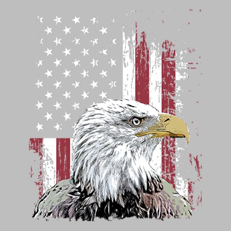 Independence Eagle American Flag Eagle