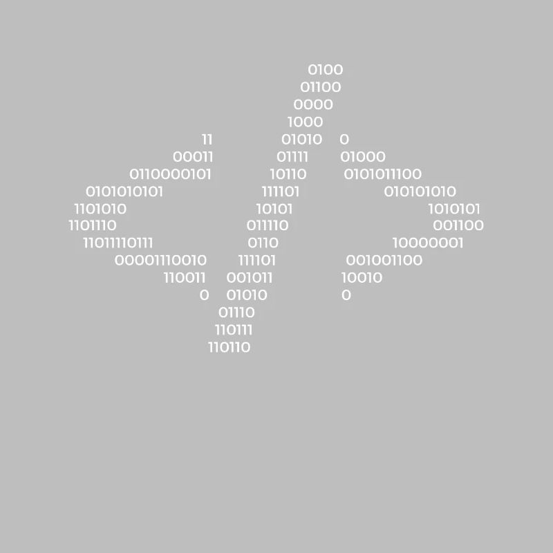 Hacker Hacking Code Computer Java Spruch Geschenk