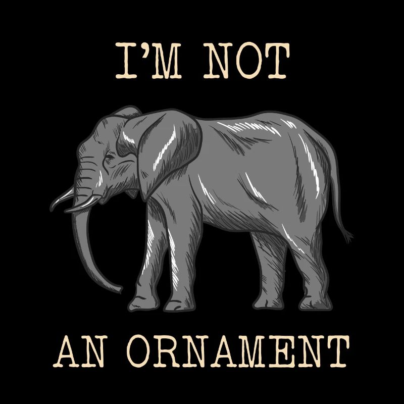 Elefant Tierschutz