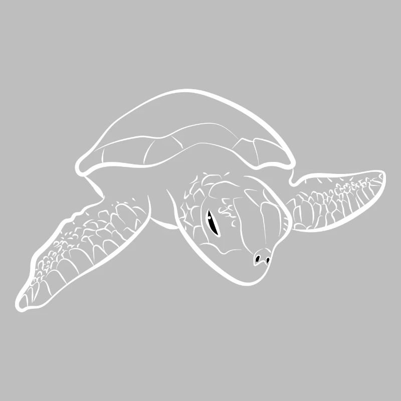Turtle Turtle