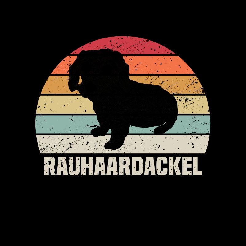 Rough-haired dachshund Dachshund | Rough-haired dachshund