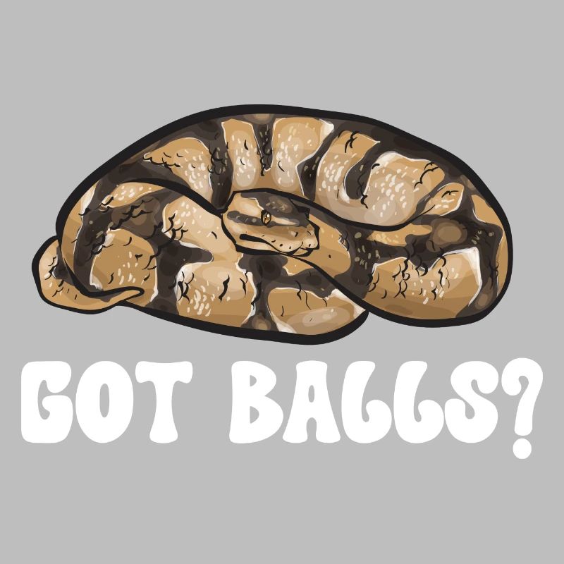 Ball Python Snake King Python