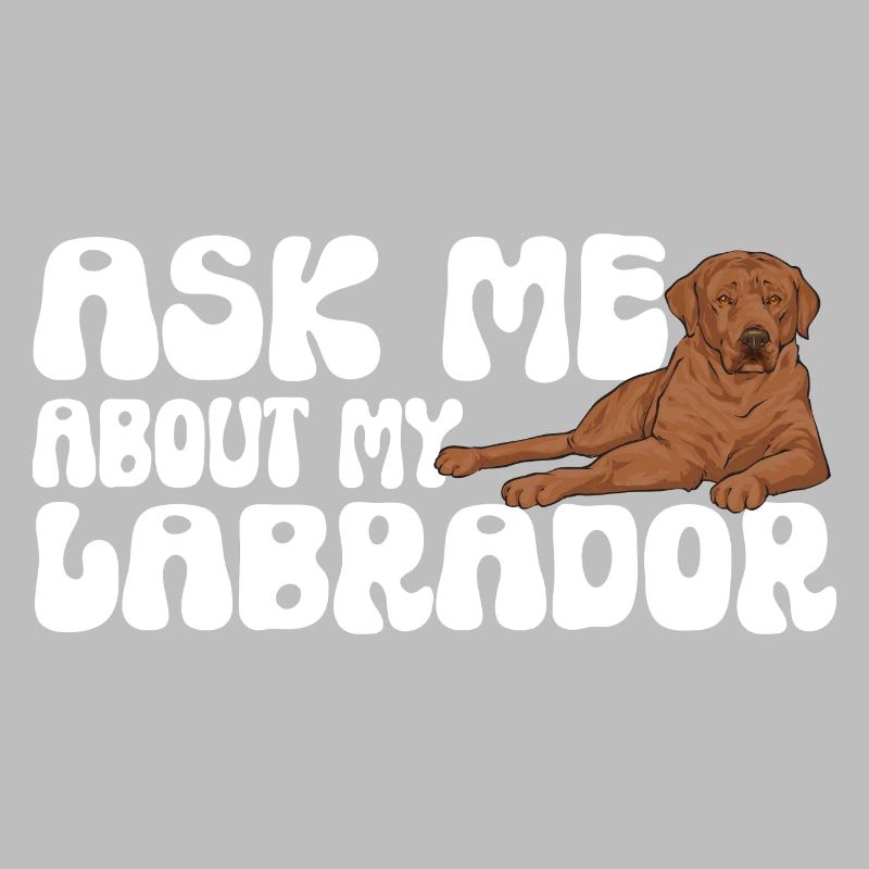 Foxred Labrador Fox Red Labrador Retriever