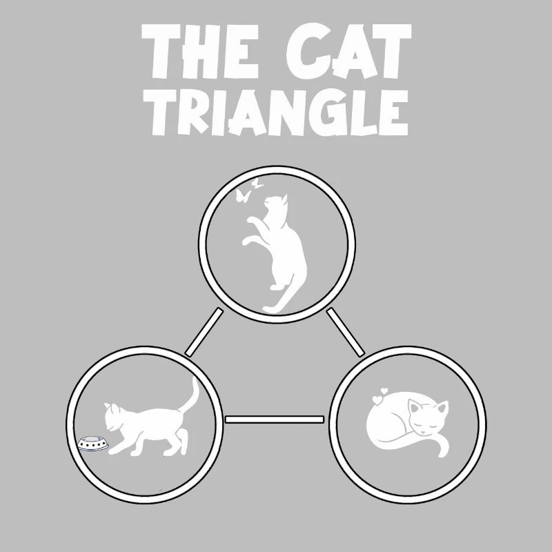 Triangle des chats Cadeau amusant pour les
