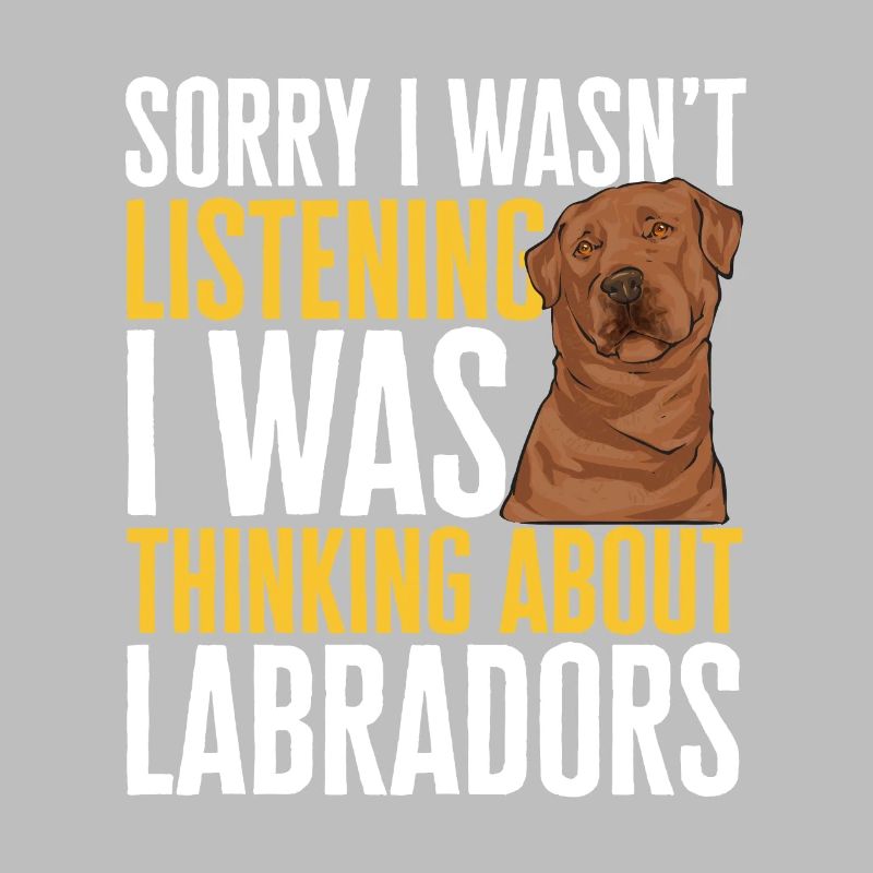 Foxred Labrador Fox Red Labrador Retriever