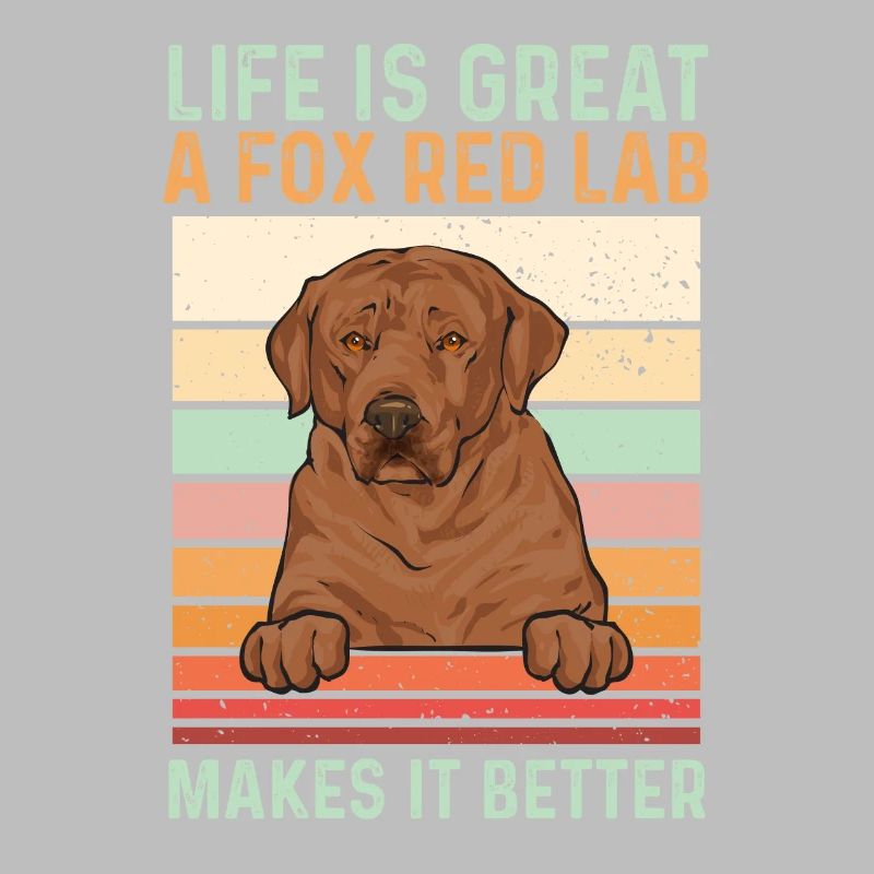 Foxred Labrador Fox Red Labrador Retriever