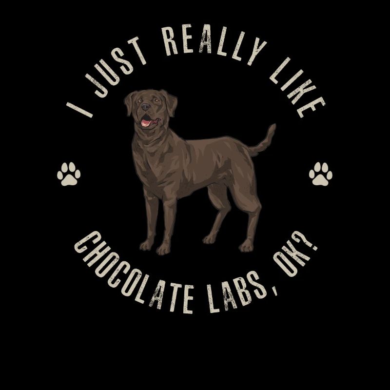 Chien Labrador Retriever chocolat