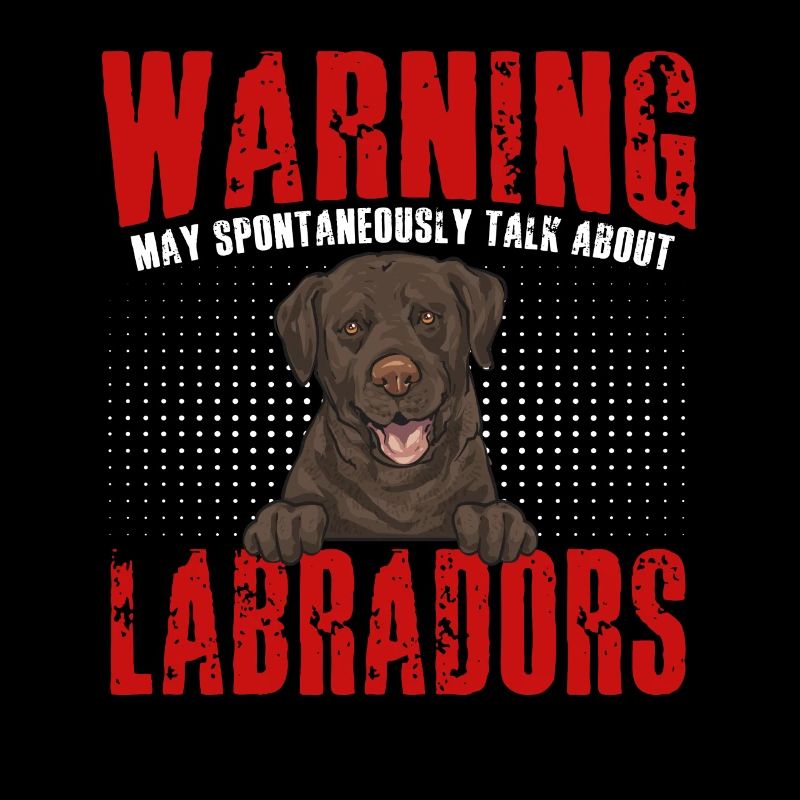 Chien Labrador Retriever chocolat