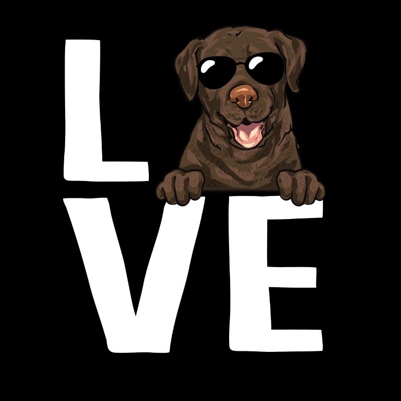 Chien Labrador Retriever chocolat