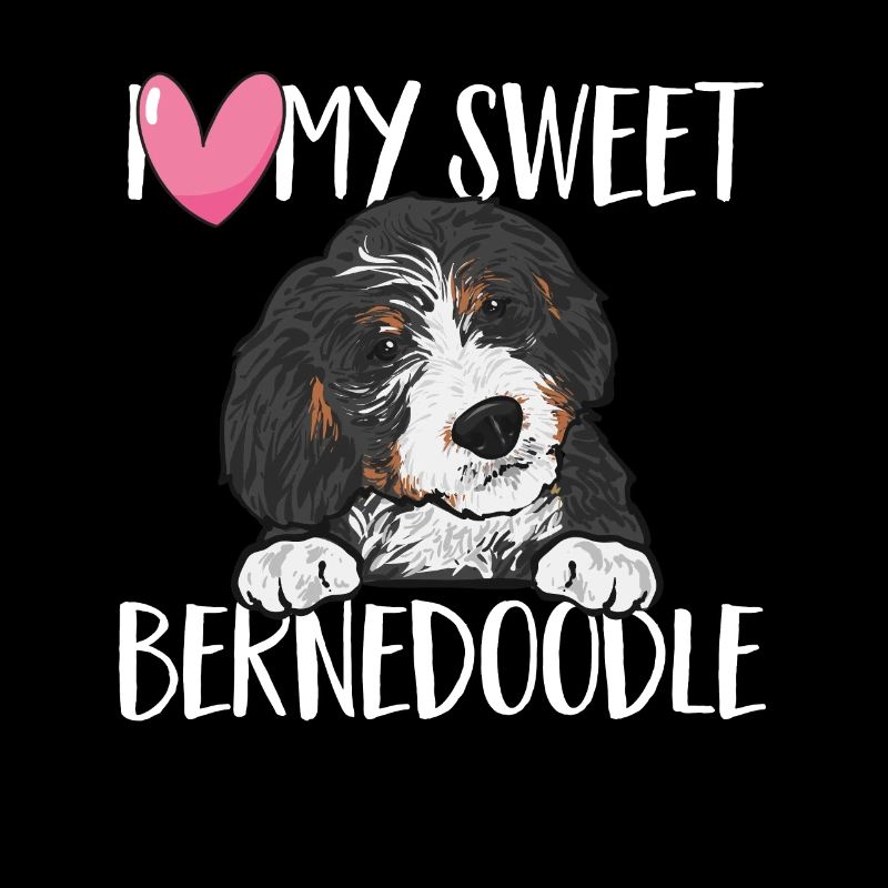 Bernedoodle Hund