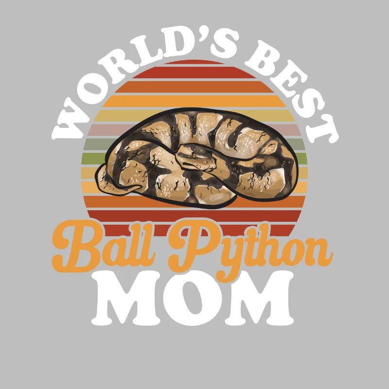 Ball Python Schlange Königspython