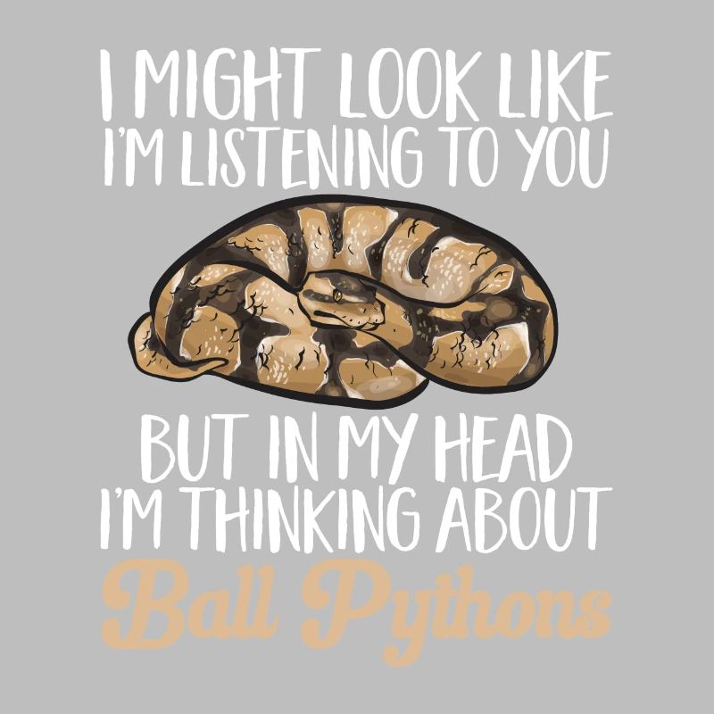 Ball Python Snake King Python