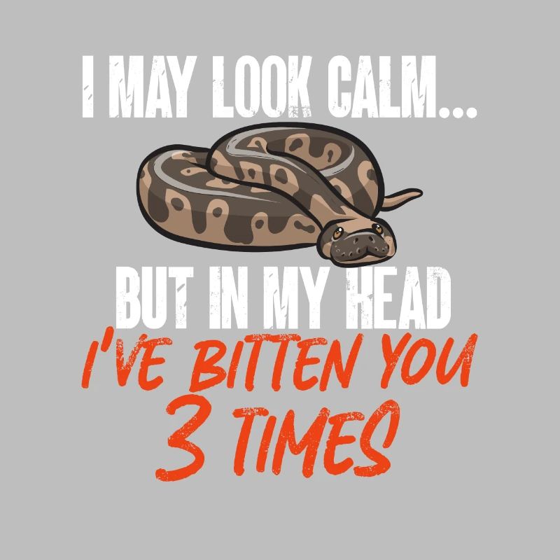 Ball Python Snake King Python