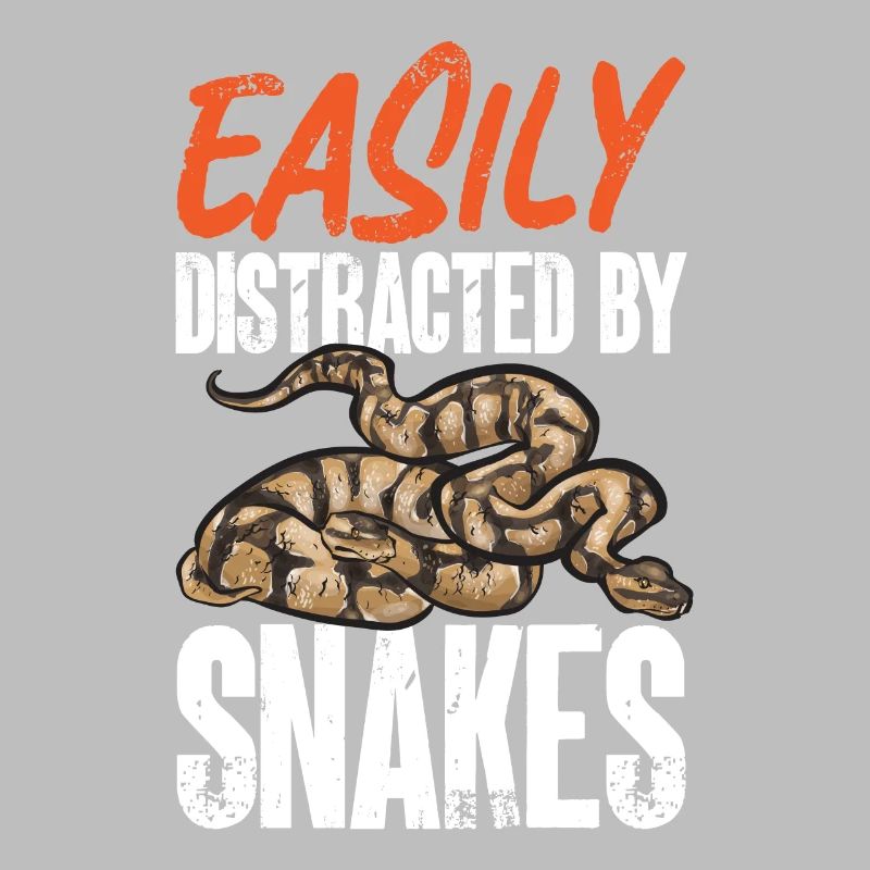 Ball Python Snake King Python