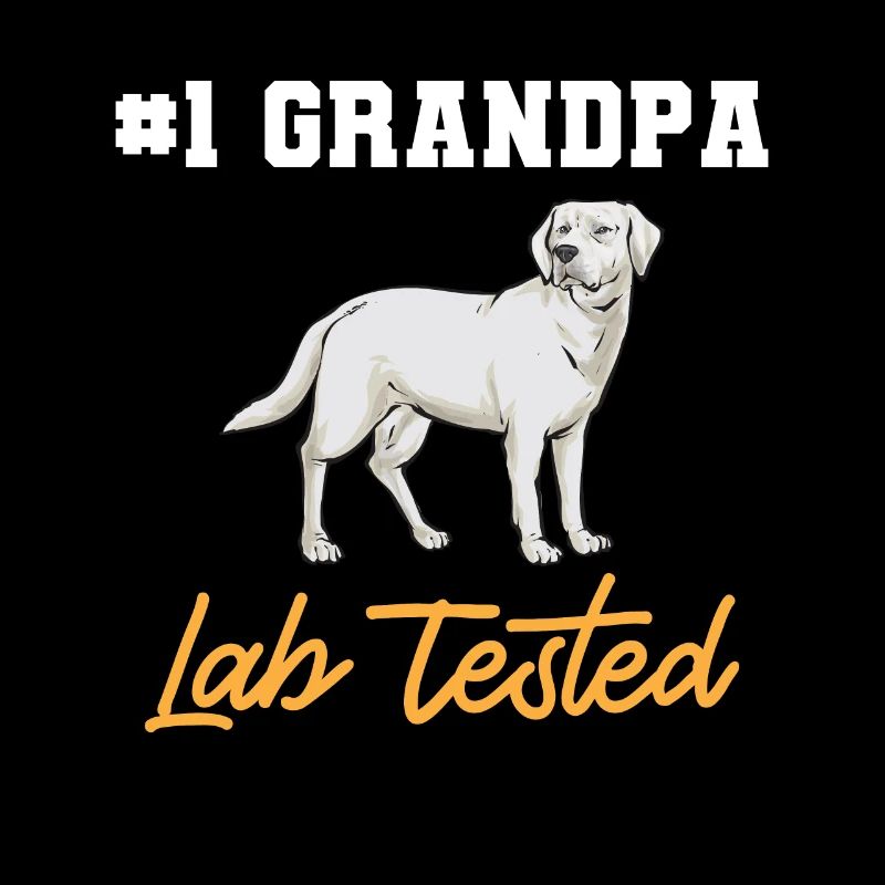 Labrador Retriever blanc Labrador Labrador blanc