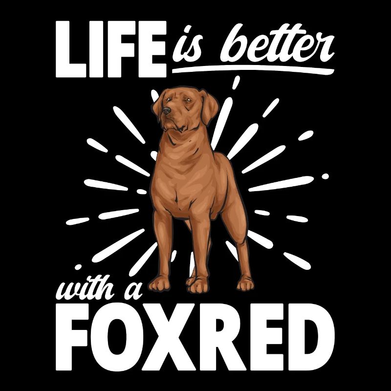 Fuchsroter Labrador Retriever Fox Red Labrador