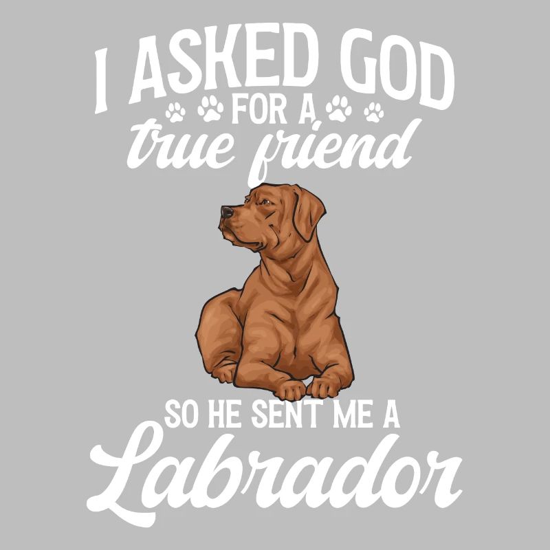 Fuchsroter Labrador Retriever Fox Red Labrador