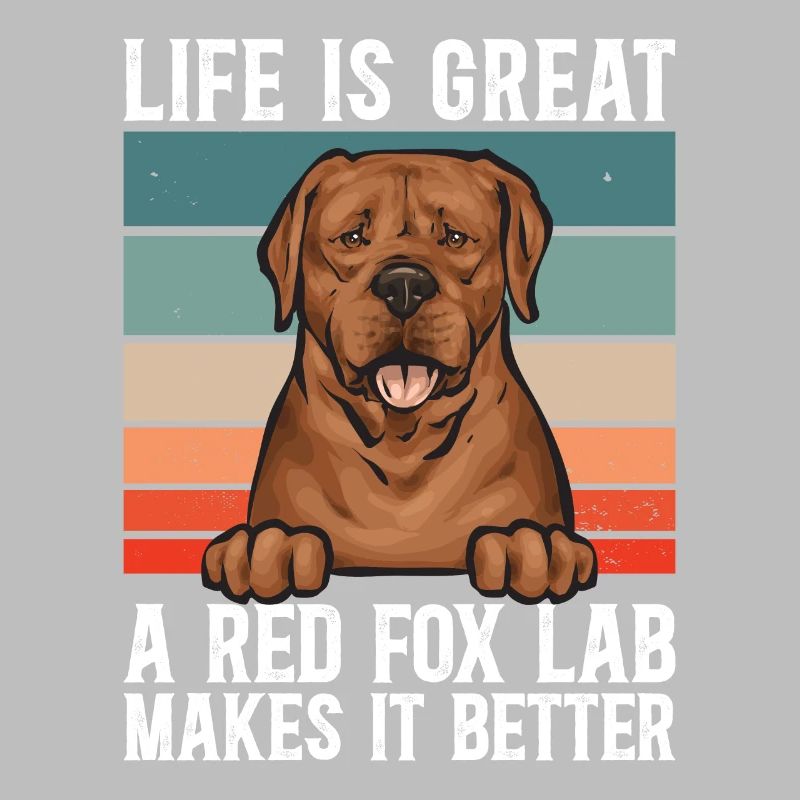 Fuchsroter Labrador Retriever Fox Red Labrador