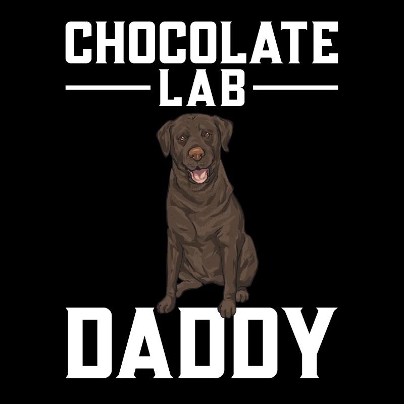Schoko Brauner Labrador Retriever Hund