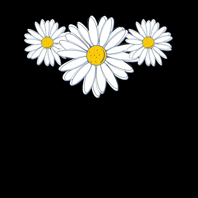 Schöne Gänseblümchenblüte Belle fleur de marguerite