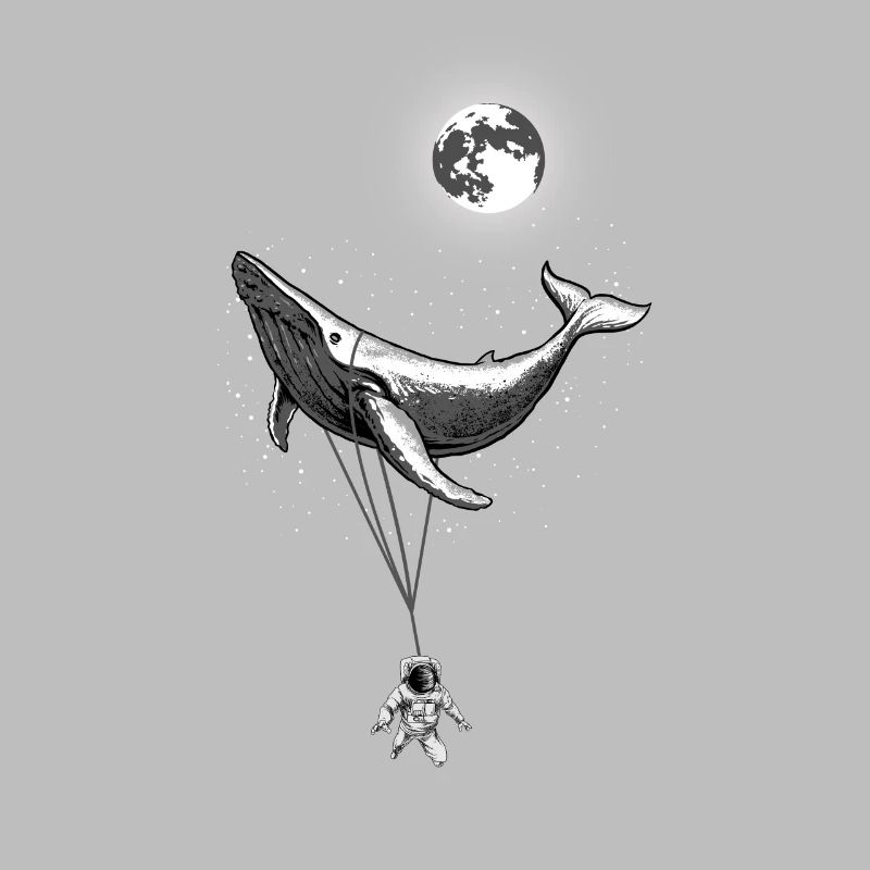 Mer zéro gravité
