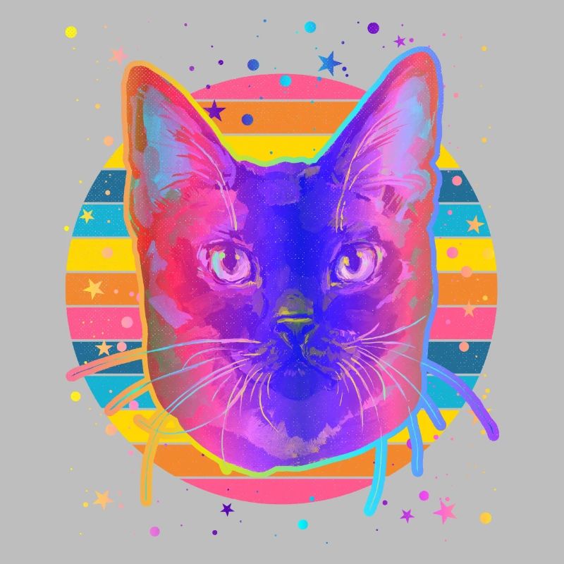 Chat birman Rainbow Space Black