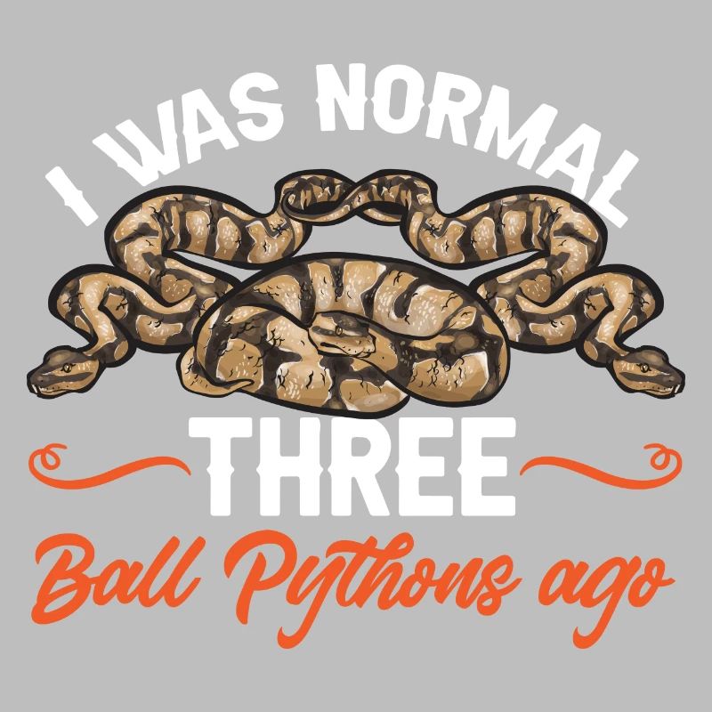 Ball Python Schlange Königspython