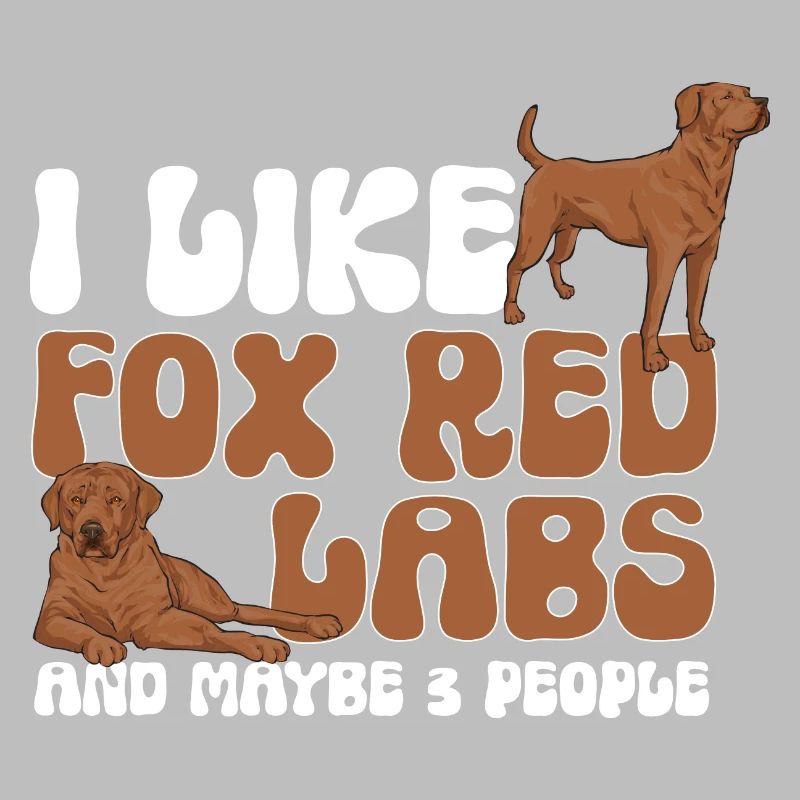 Foxred Labrador Fox Red Labrador Retriever