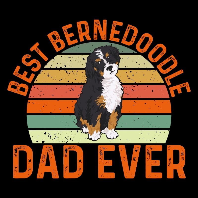 Bernedoodle Hund