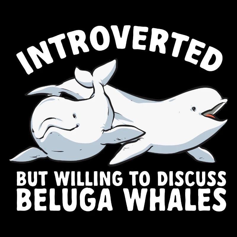 Weißwal Beluga Wal
