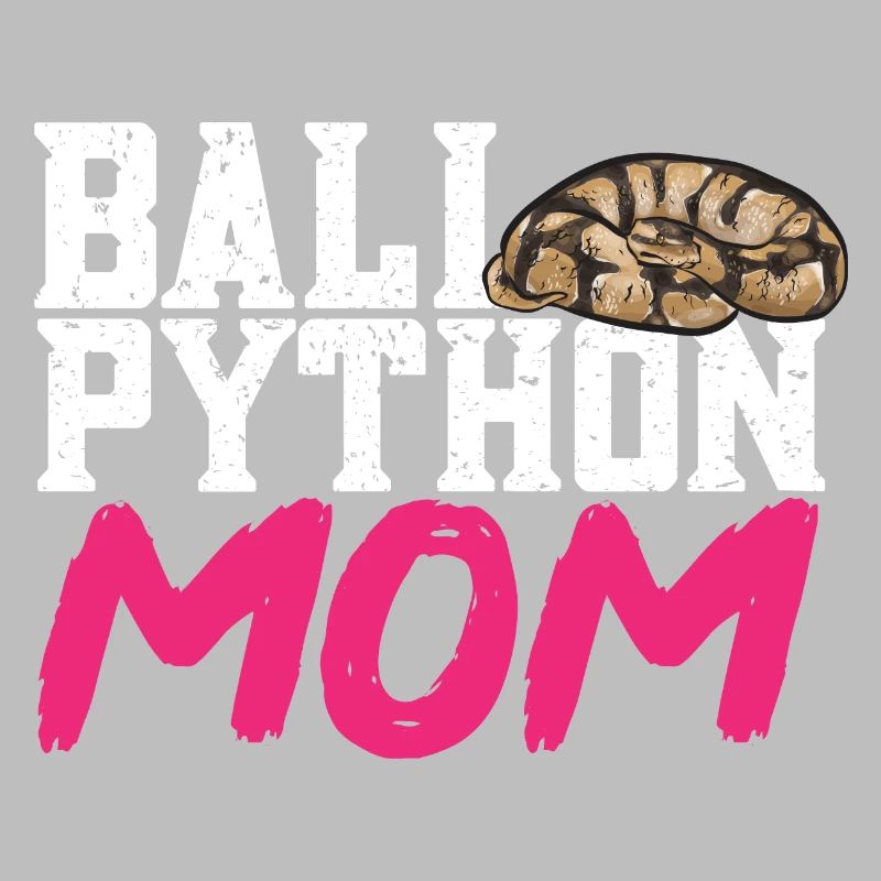 Ball Python Schlange Königspython