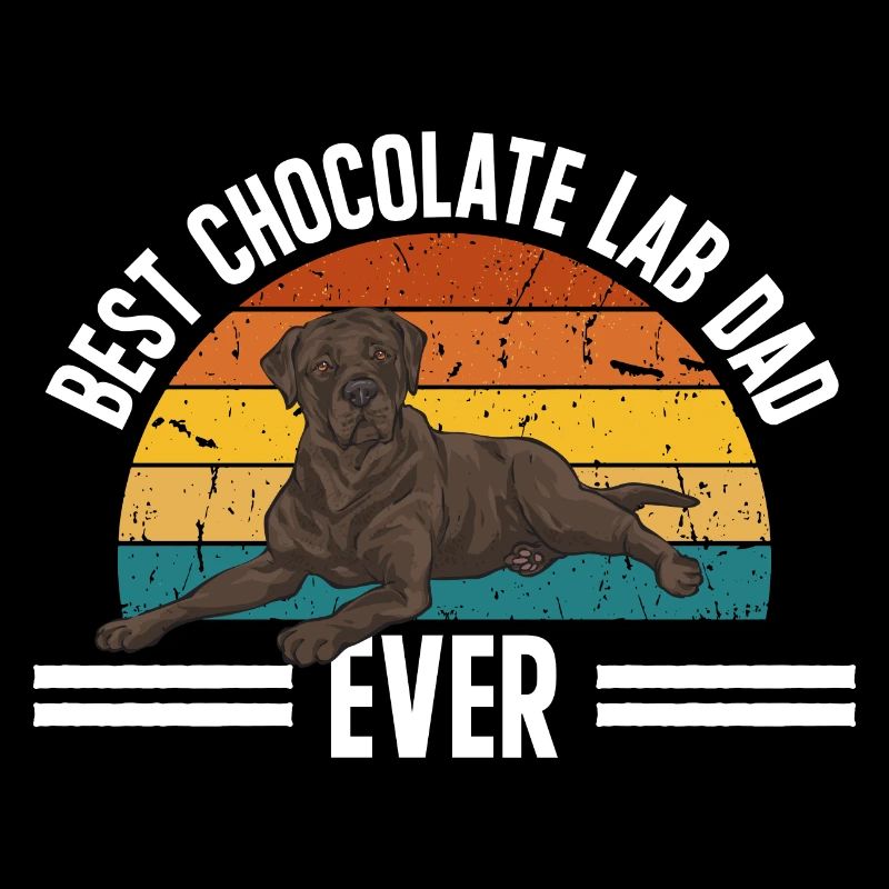Schoko Brauner Labrador Retriever Hund