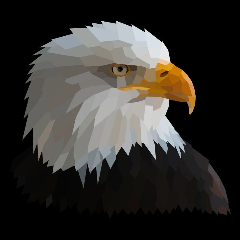 Eagle low poly style