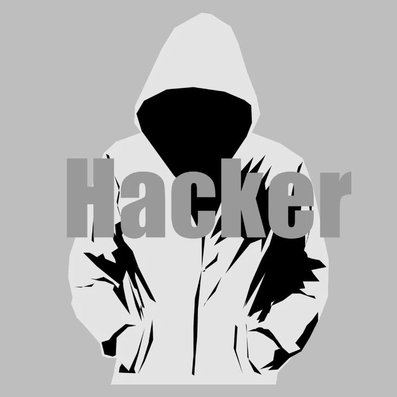 pirate informatique