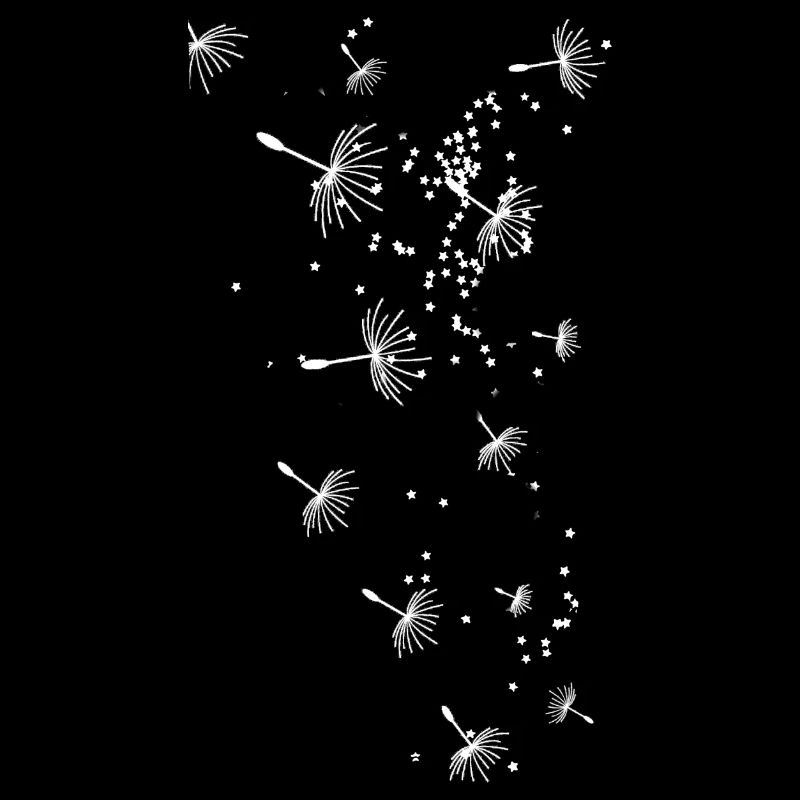 Pusteblume,,Blume,weiss, Sterne