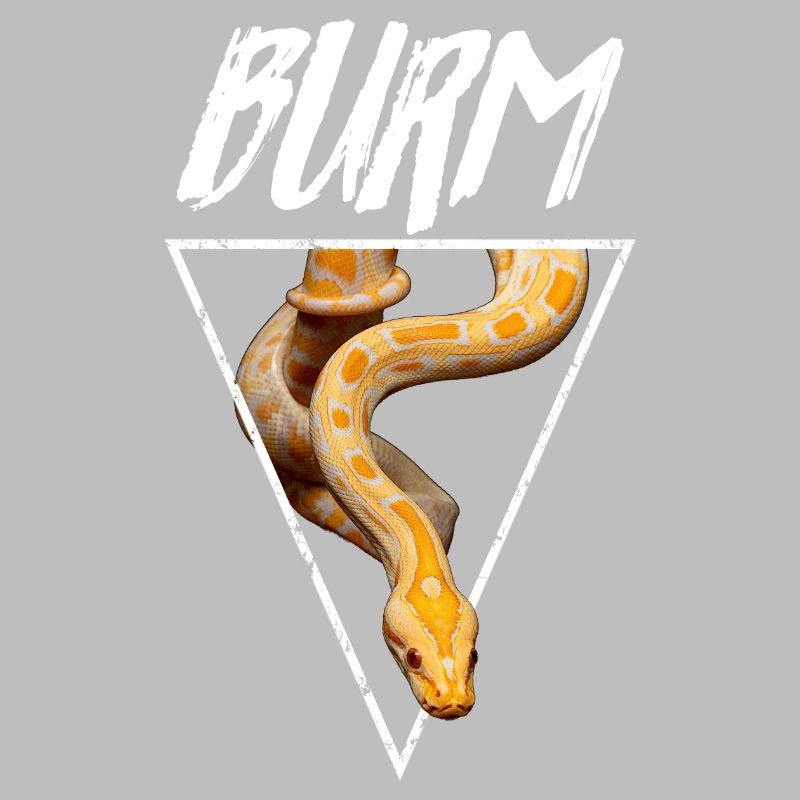 Albino Birmese Python Snake Owner