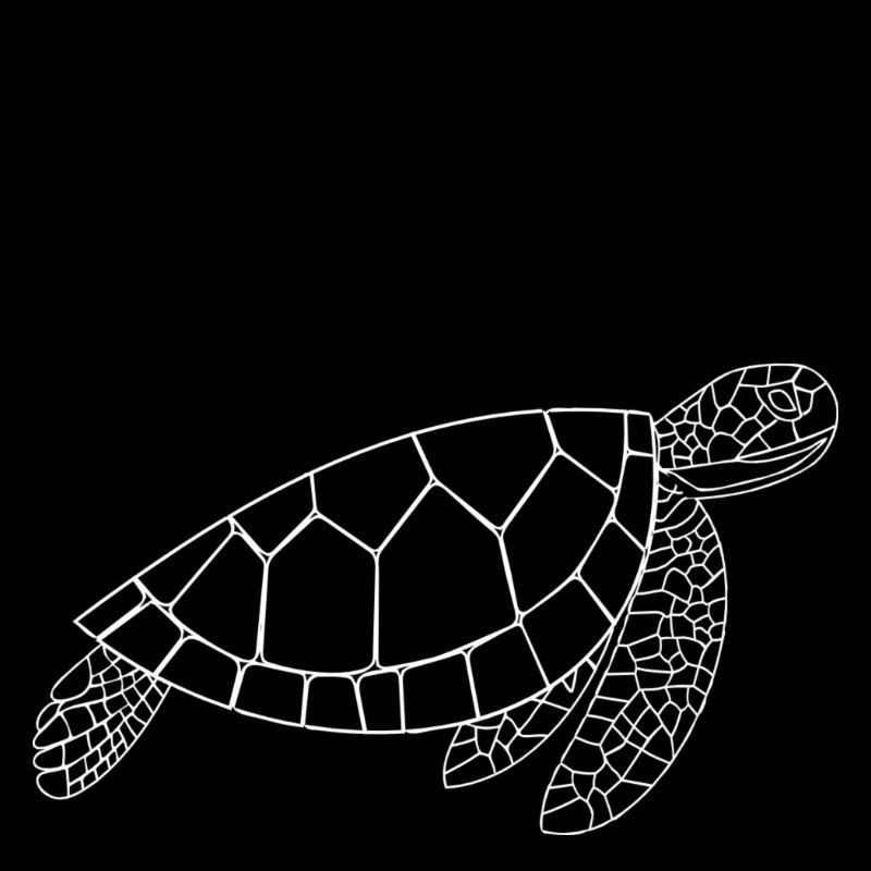 Schildkröte - lass uns verschwinden