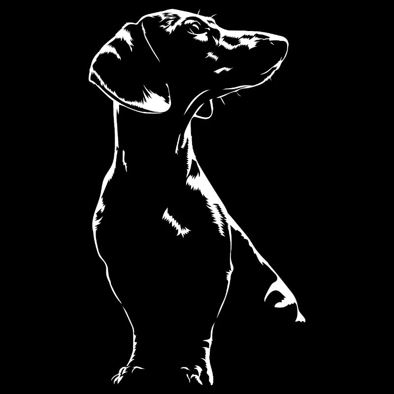 Dackel Silhouette Hunde Hund Wilsigns