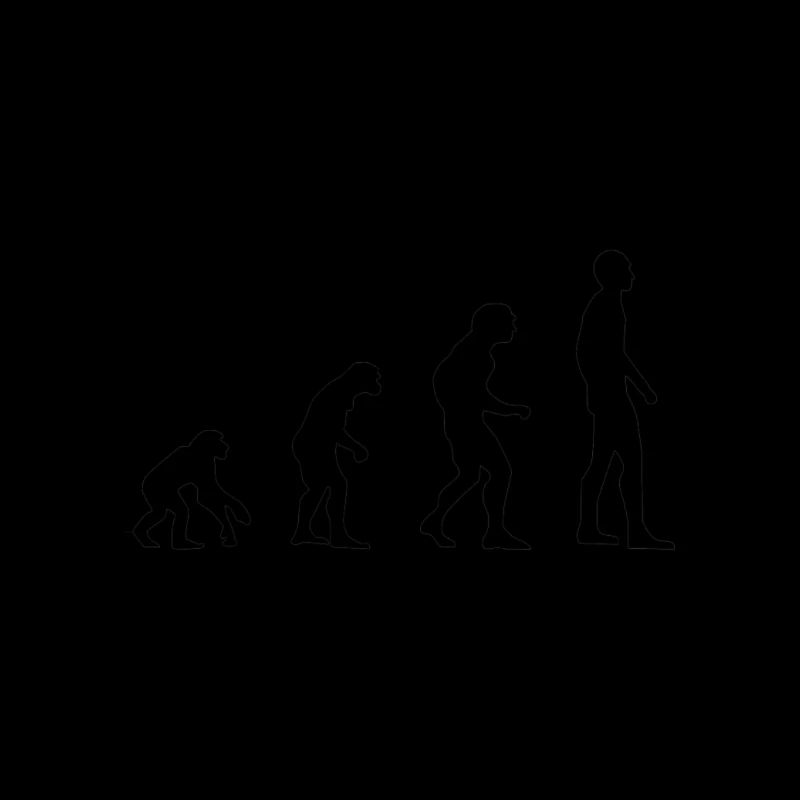Evolution human