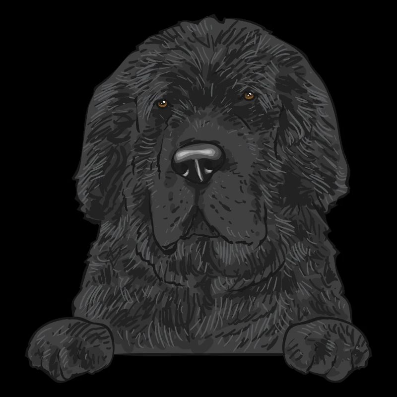 Cadeau pour chien Terre-Neuve-et-Labrador