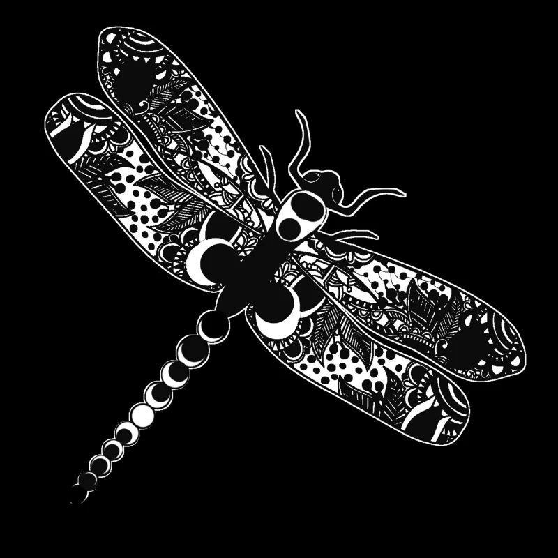 Dragon fly