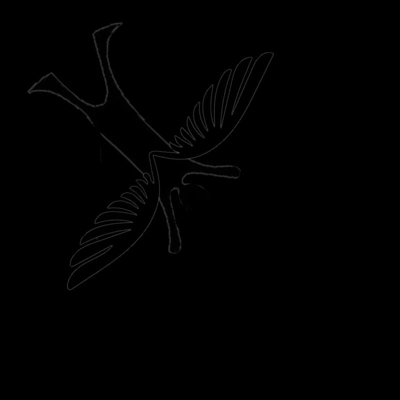 Icarus