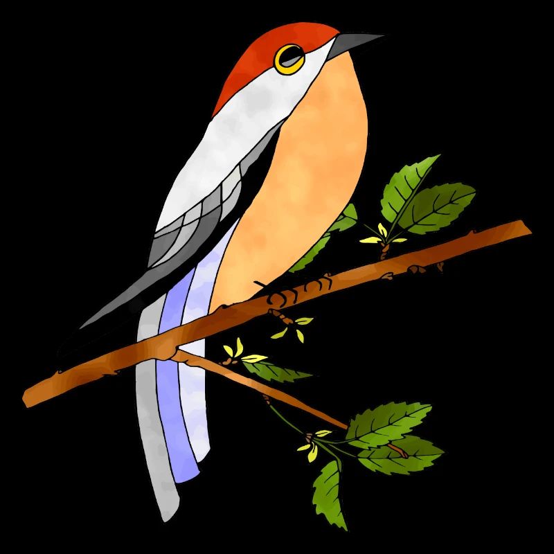 Oiseau