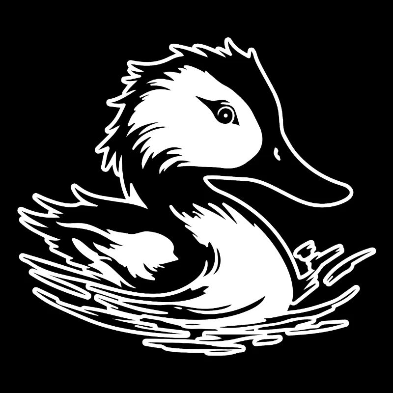 Canard Oiseaux Canards